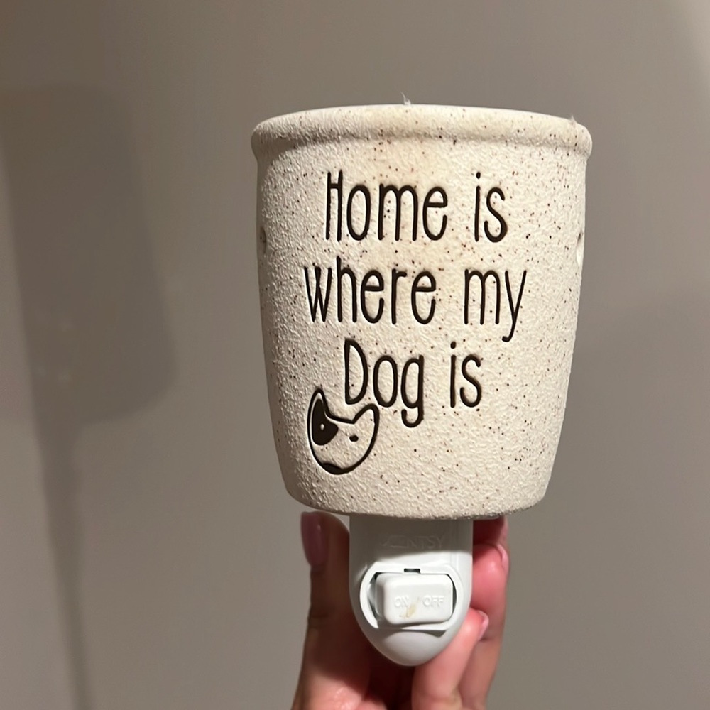 Scentsy warmer plug-in